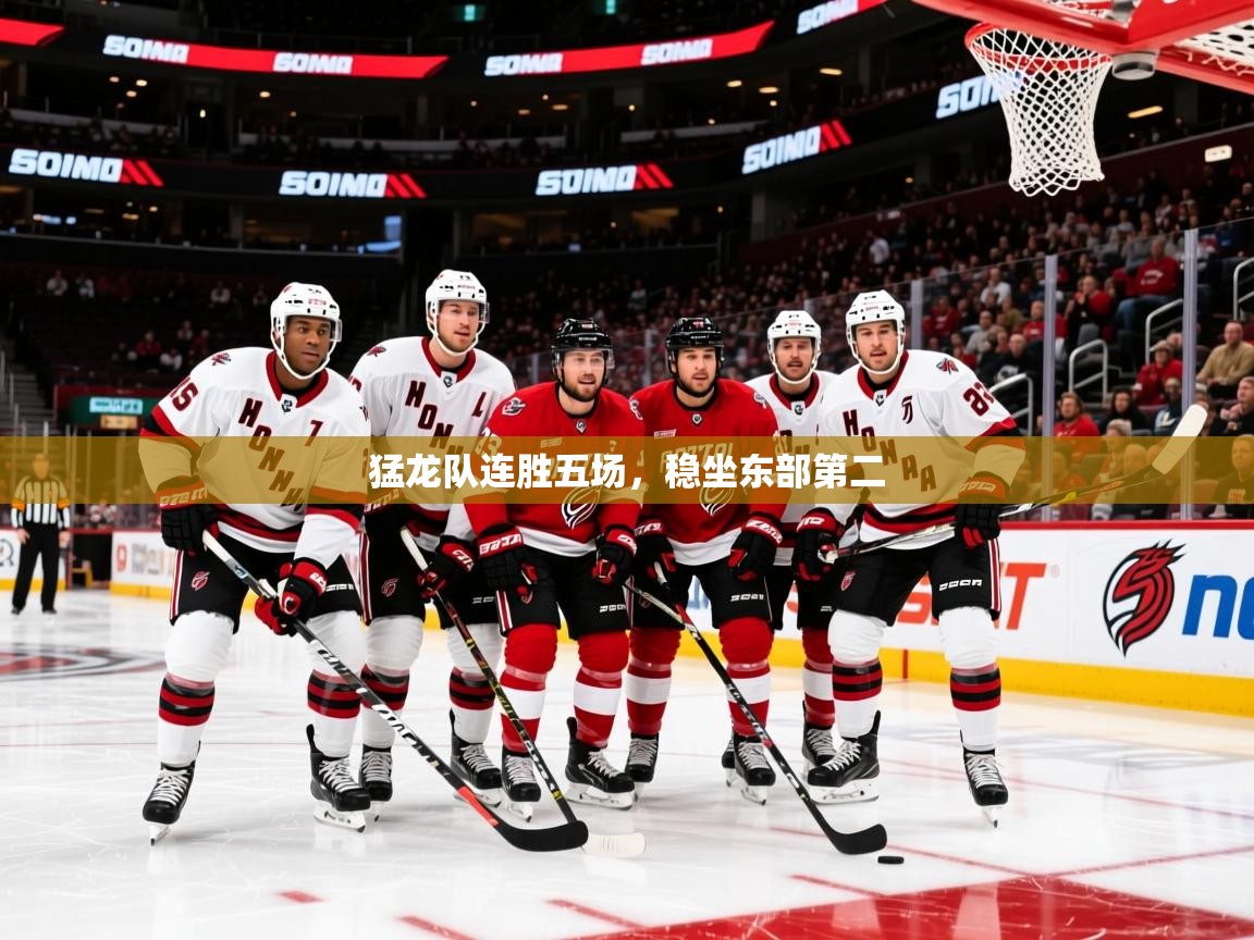 2025华体会登录最新登录地址猛龙队连胜五场，稳坐东部第二  第1张