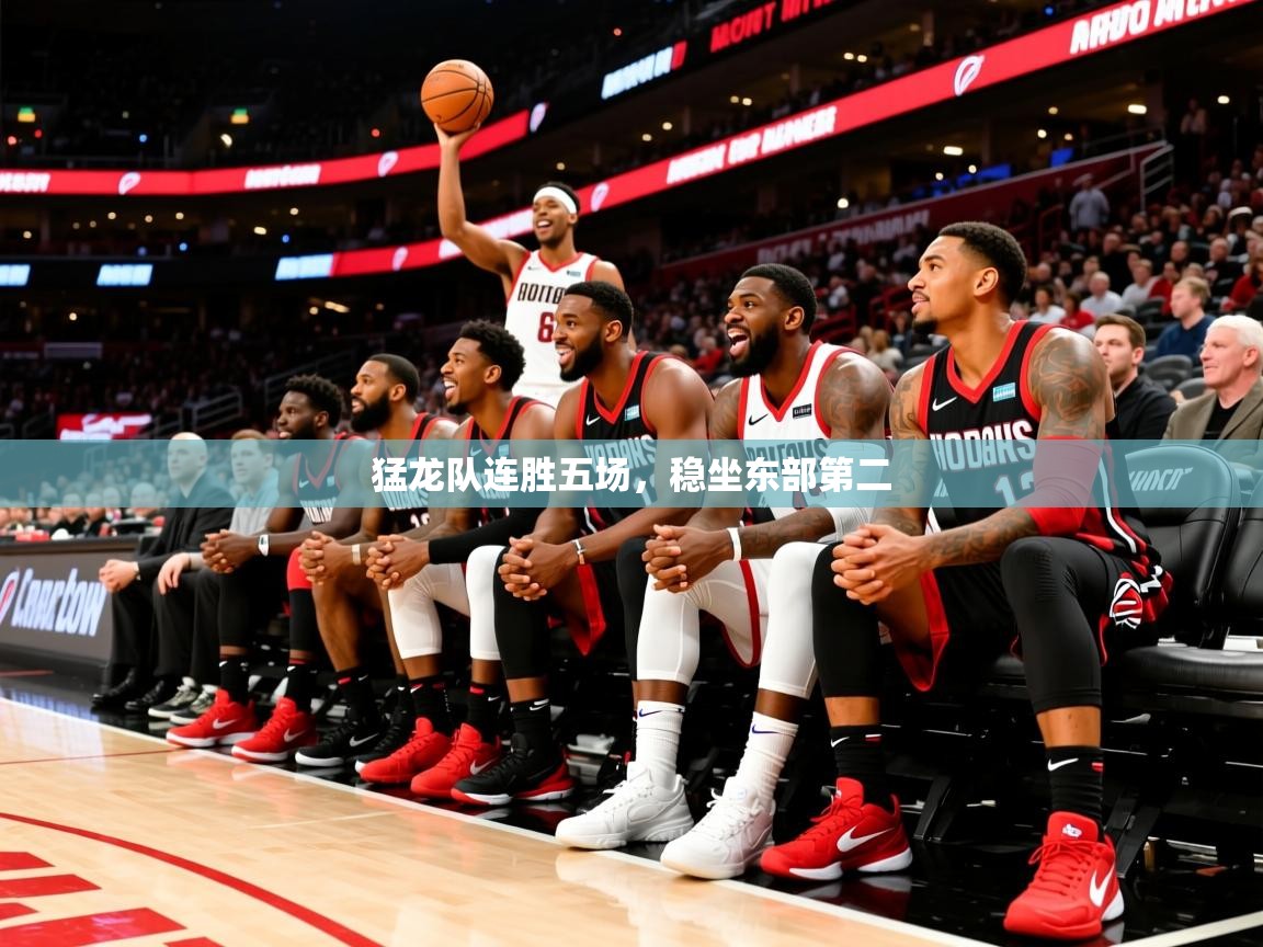 2025华体会登录最新登录地址猛龙队连胜五场，稳坐东部第二  第2张