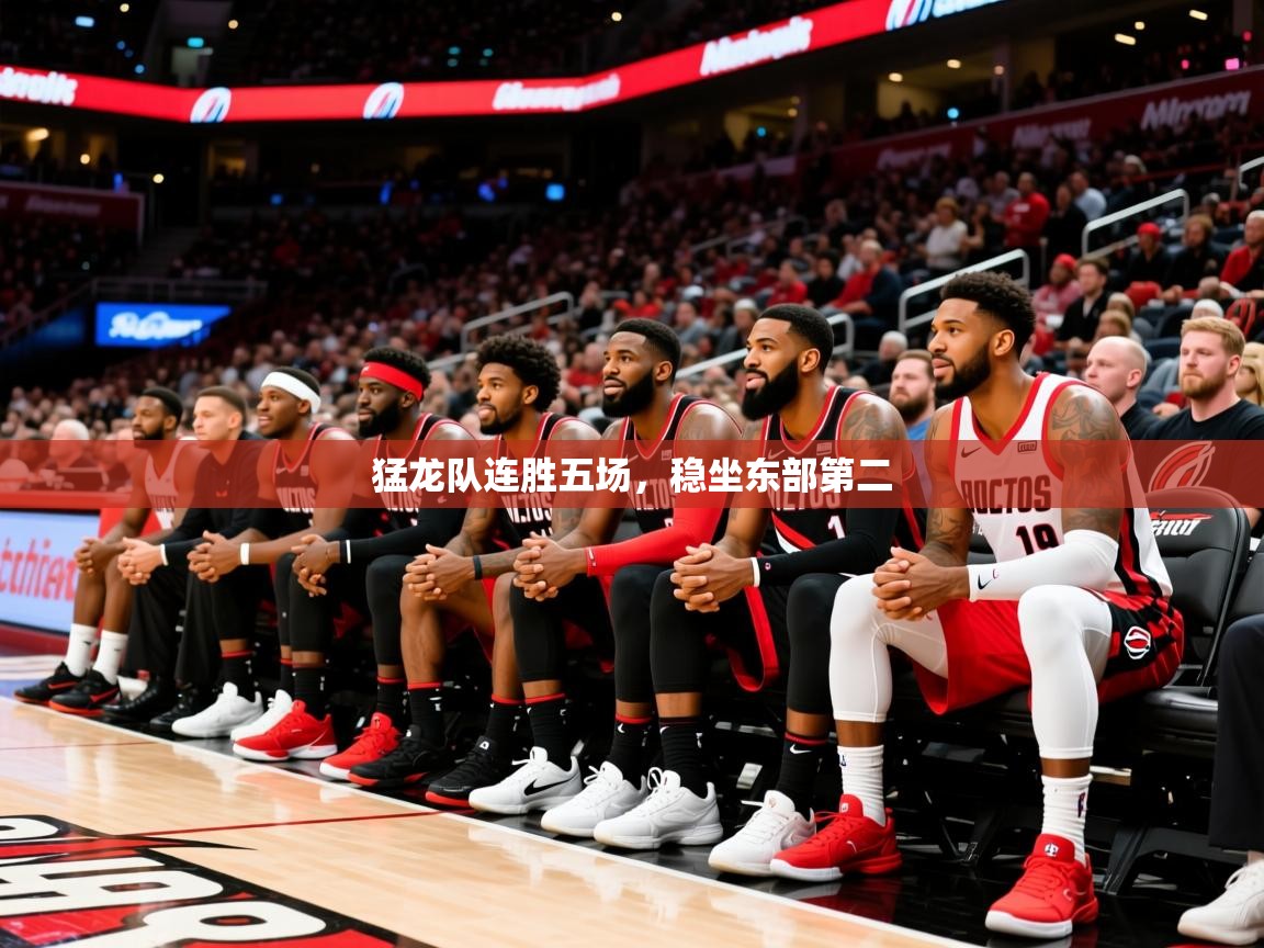 2025华体会登录最新登录地址猛龙队连胜五场，稳坐东部第二  第3张