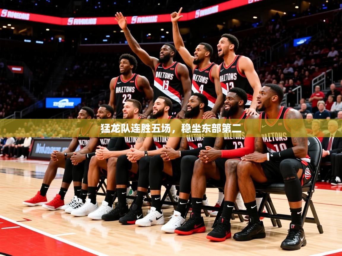 2025华体会登录最新登录地址猛龙队连胜五场，稳坐东部第二  第4张