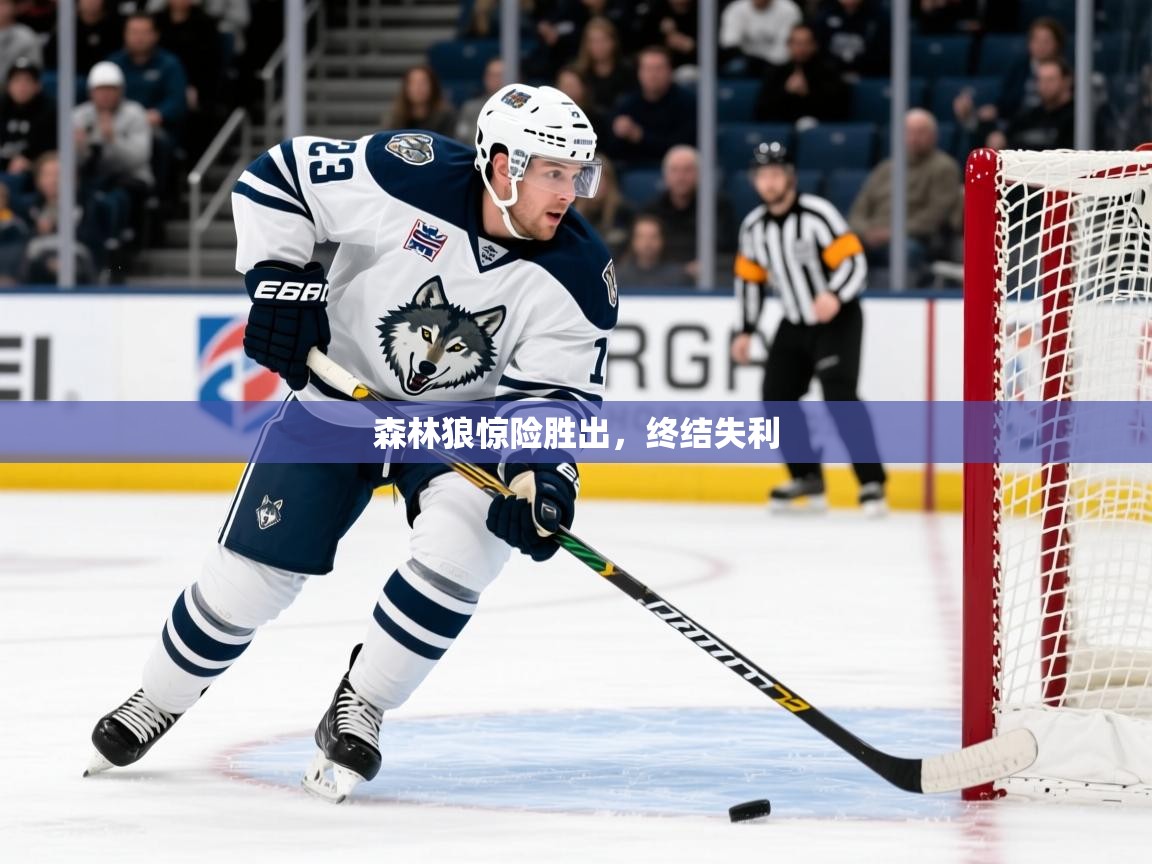 2025华体会登录最新地址森林狼惊险胜出，终结失利  第2张