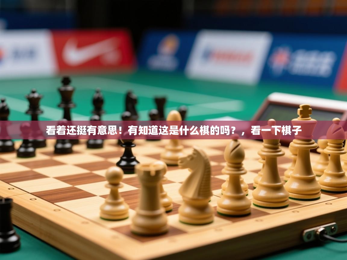 2025华体会体育网站赞助的国米看着还挺有意思！有知道这是什么棋的吗？，看一下棋子  第3张