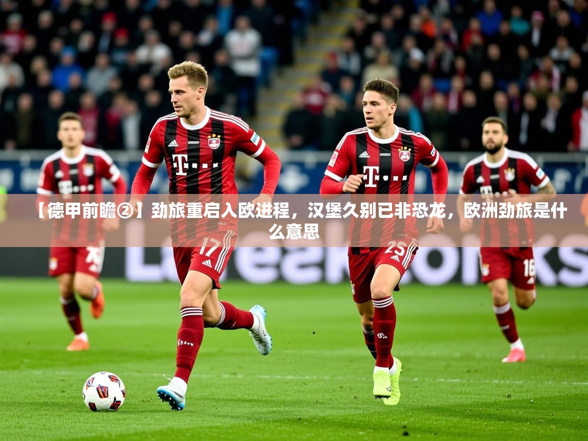 2025华体会登录地址【德甲前瞻②】劲旅重启入欧进程，汉堡久别已非恐龙，欧洲劲旅是什么意思  第2张