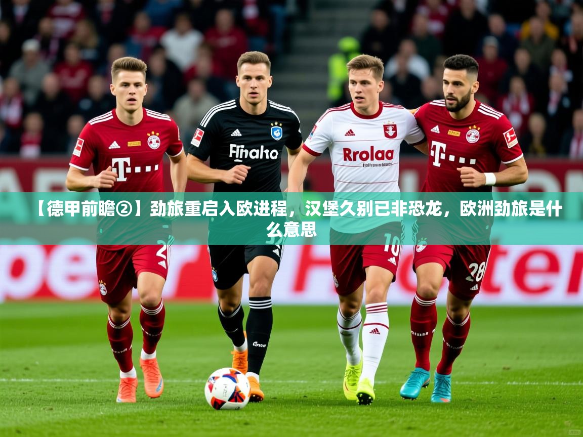 2025华体会登录地址【德甲前瞻②】劲旅重启入欧进程，汉堡久别已非恐龙，欧洲劲旅是什么意思  第3张