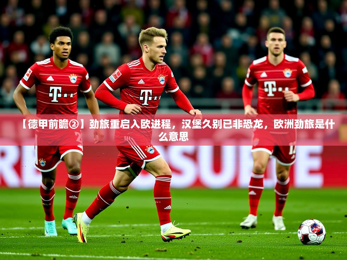 2025华体会登录地址【德甲前瞻②】劲旅重启入欧进程，汉堡久别已非恐龙，欧洲劲旅是什么意思  第4张
