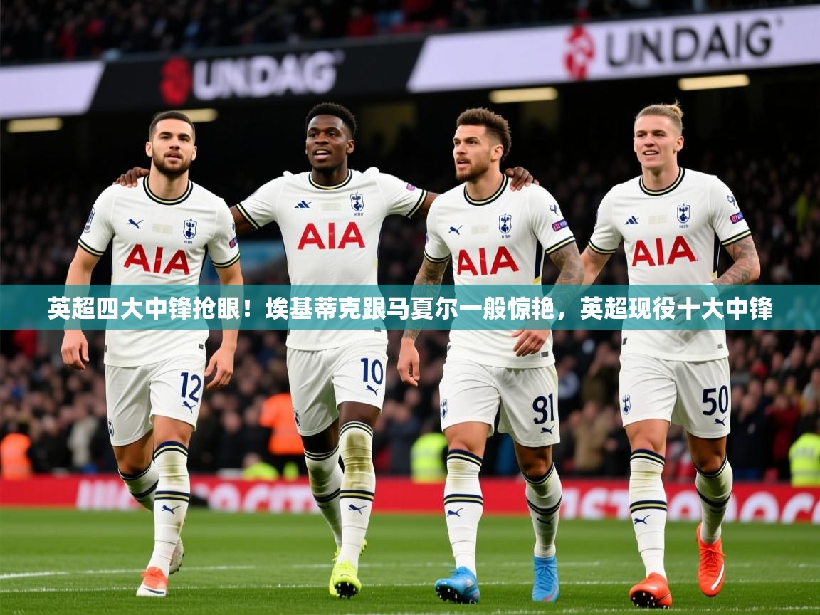 2025华体会体育平台靠谱吗英超四大中锋抢眼！埃基蒂克跟马夏尔一般惊艳，英超现役十大中锋  第3张