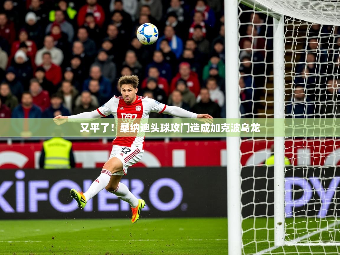 2025华体会体育网站赞助的国米又平了!桑纳迪头球攻门造成加克波乌龙 第2张