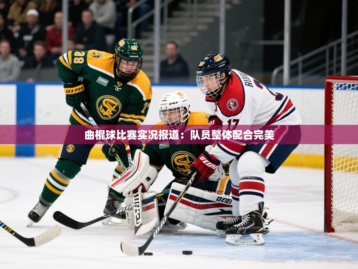 2026华体会登录入口曲棍球比赛实况报道:队员整体配合完美 第3张