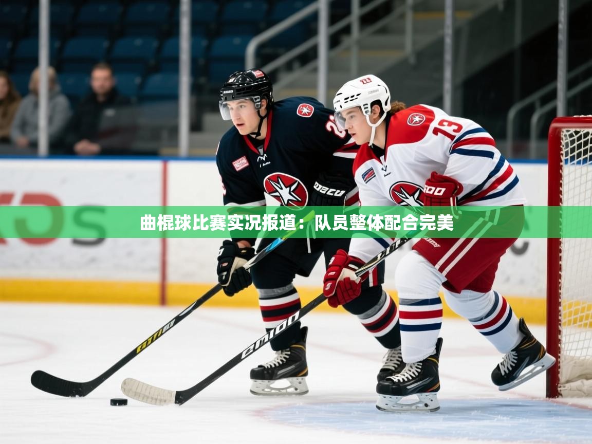 2026华体会登录入口曲棍球比赛实况报道:队员整体配合完美 第2张