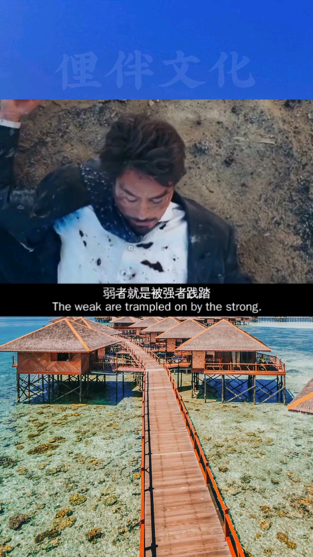 弱者变胜者,反击之下演绎意外胜利的简单介绍
