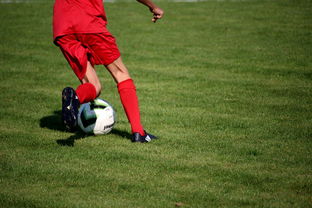 2025华体会体育网站国米赞助商汤普森正式返回训练场地,勇士球迷热情迎接 第1张