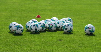 2025华体会体育网站国米赞助商汤普森正式返回训练场地,勇士球迷热情迎接 第4张